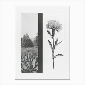 Carnation Flower Photo Collage 3 Canvas Print