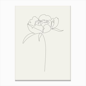 Peony Flower Line Drawing line art Canvas Print