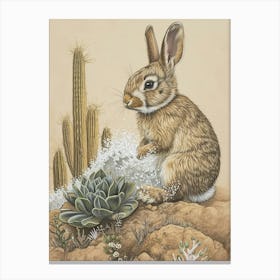 Mini Rex Rabbit Drawing 1 Canvas Print