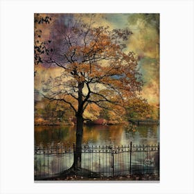 Autumn Tree In Central Park Canvas Print