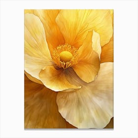 Yellow Poppy 1 Canvas Print