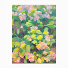 Hoya Impressionist Painting Plant Canvas Print