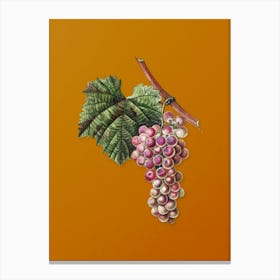 Vintage Grape Vine Botanical on Sunset Orange n.0094 Canvas Print