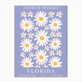 Daisies Florida Canvas Print