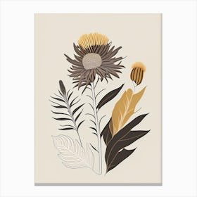 Elecampane Spices And Herbs Retro Minimal 4 Canvas Print