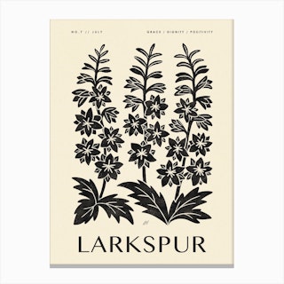 Rustic July Birth Flower Larkspur Black Cream Canvas Print