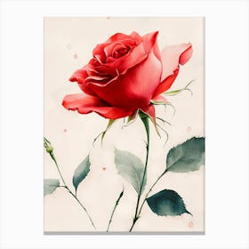 Red Rose Canvas Print