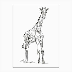 B&W Giraffe Canvas Print