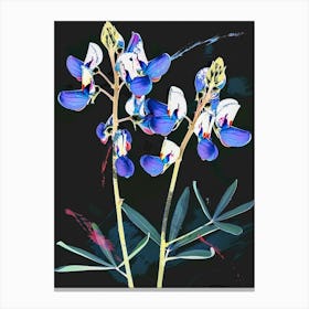 Neon Flowers On Black Bluebonnet 6 Canvas Print