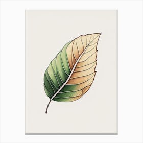 Ash Leaf Warm Tones 4 Canvas Print
