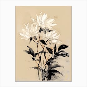 Chrysanthemum Ink On Paper Drawing 1 Canvas Print