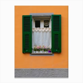 Tangerine Windowsill Canvas Print