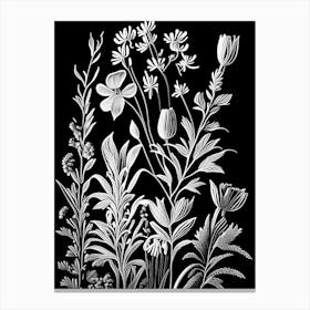 Veronica Wildflower Linocut Canvas Print