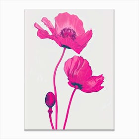 Hot Pink Poppy 2 Canvas Print
