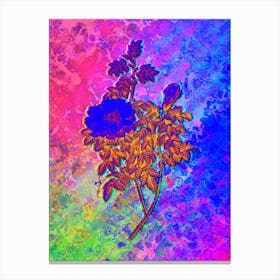 Ventenat's Rose Botanical in Acid Neon Pink Green and Blue Canvas Print