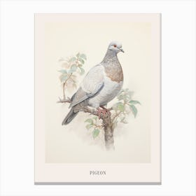 Vintage Bird Drawing Pigeon 3 Poster Canvas Print