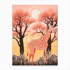 Giraffe In The Trees & Grass At Sunrise  Canvas Print
