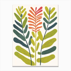 Ferns Canvas Print