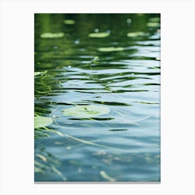 Lily Pads In The Water Canvas Print