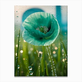 Blue Poppy In The Rain Canvas Print