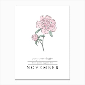November Peony Birth Flower 2 Canvas Print