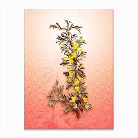 Caragana Spinosa Vintage Botanical in Peach Fuzz Seigaiha Wave Pattern n.0212 Canvas Print