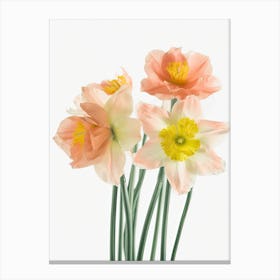 Bunch Of Daffodils Flowers Acrylic Painting In Pastel Colours 7 Canvas Print