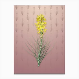 Vintage Yellow Asphodel Botanical on Dusty Pink Pattern n.0743 Canvas Print