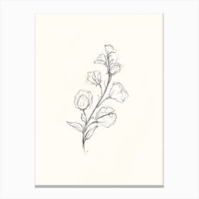 Antique Sweet Pea Canvas Print