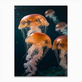 Jellyfishes Canvas Print