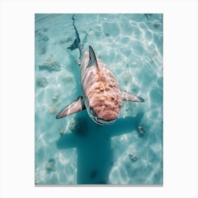  Drone Photograph Of A Shark Swimming In Crystal Clear 1 Canvas Print