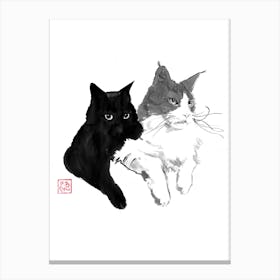 2 Cats Canvas Print