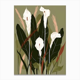 Calla Lilies 6 Canvas Print