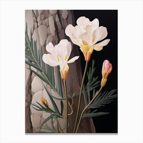 Flower Illustration Freesia 1 Canvas Print