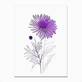 Aster Floral Minimal Line Drawing 2 Flower Canvas Print