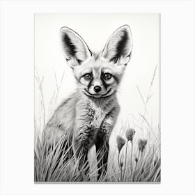 Bat Eared Fox In A Field Pencil Drawing 2 Canvas Print