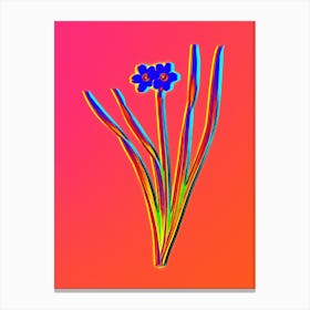 Neon Primrose Peerless Botanical in Hot Pink and Electric Blue n.0089 Canvas Print