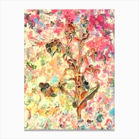 Impressionist Commelina Tuberosa Botanical Painting in Blush Pink and Gold Canvas Print