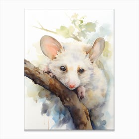 Light Watercolor Painting Of A Sleeping Possum 7 Canvas Print