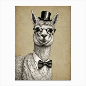 Llama In A Bow Tie Canvas Print