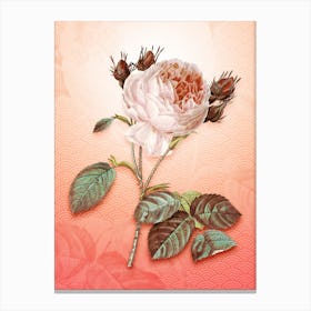 Centifolia Roses Vintage Botanical in Peach Fuzz Seigaiha Wave Pattern n.0198 Canvas Print
