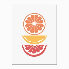 Orange Slices 5 Canvas Print