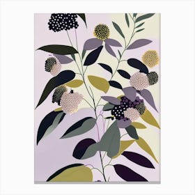 Elderberry Blossom Wildflower Modern Muted Colours 2 Canvas Print