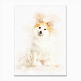 Spitz Dog Canvas Print