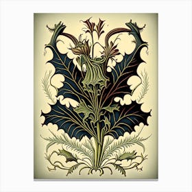 Devil's Claw Herb Vintage Botanical Canvas Print