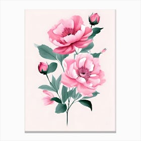 Pink Peonies 2 Canvas Print