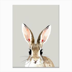 Rabbit Canvas Print 1 Canvas Print