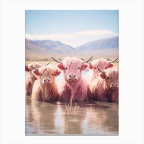 Highland Cows In The River Pink Realistic Photography  1 Canvas Print
