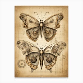 Da Vinci Butterfly Drawing v3 Canvas Print