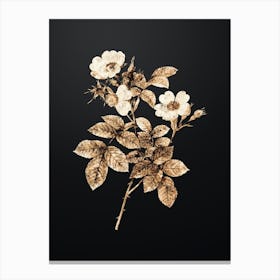 Gold Botanical Short Styled Field Rose on Wrought Iron Black n.1147 Canvas Print